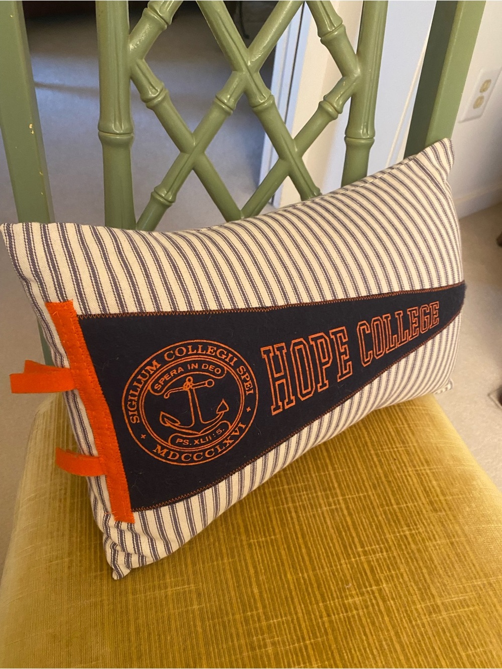 Hope College Holland Michigan VTG Pennant Flag Accent Pillow Flying Dutchmen